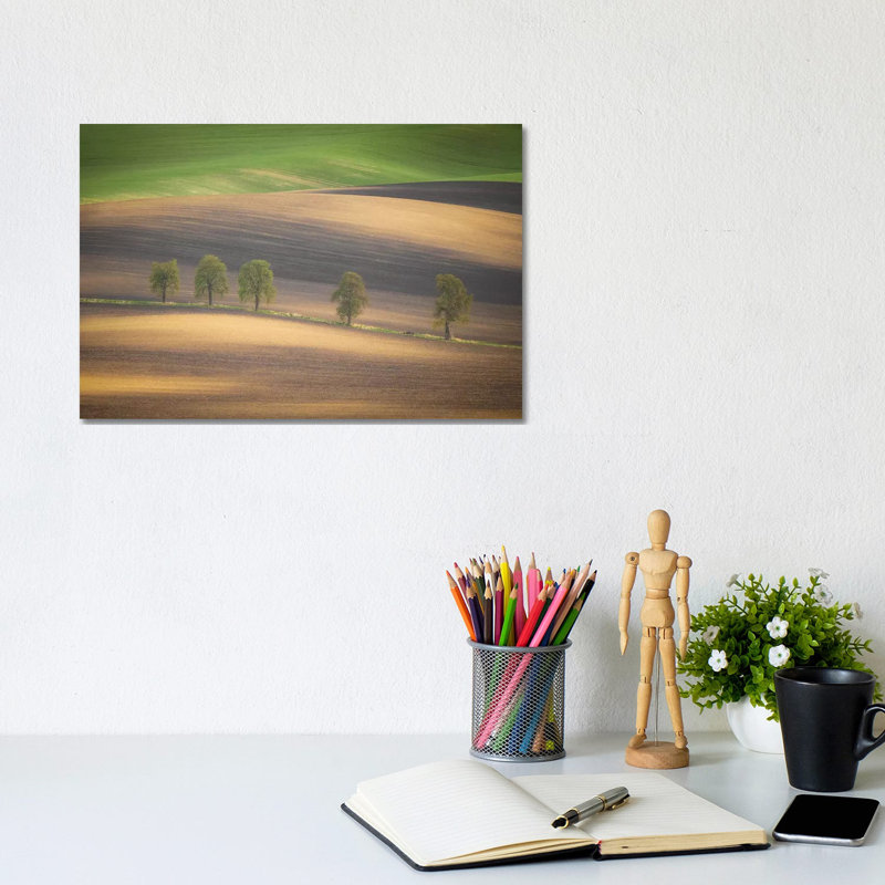 Europe, Czech Republic, Moravia. Row Of Chestnut Trees And Rolling Hills. by Jaynes Gallery - Wrapped Canvas Painting