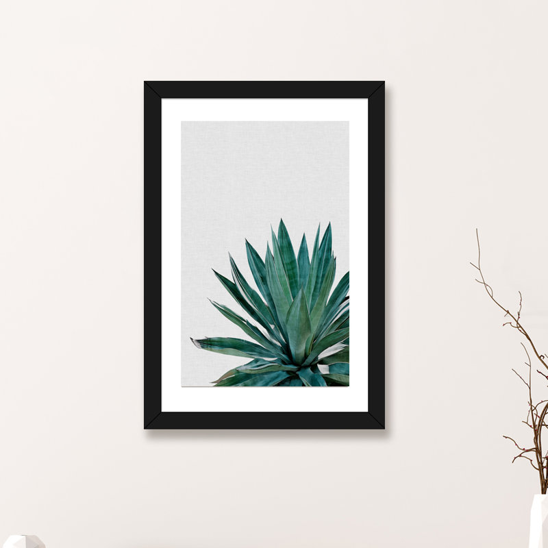 « agave cactus »-impression photographie, H 32 po x l 24 po x P 1 po, Papier avec cadre noir