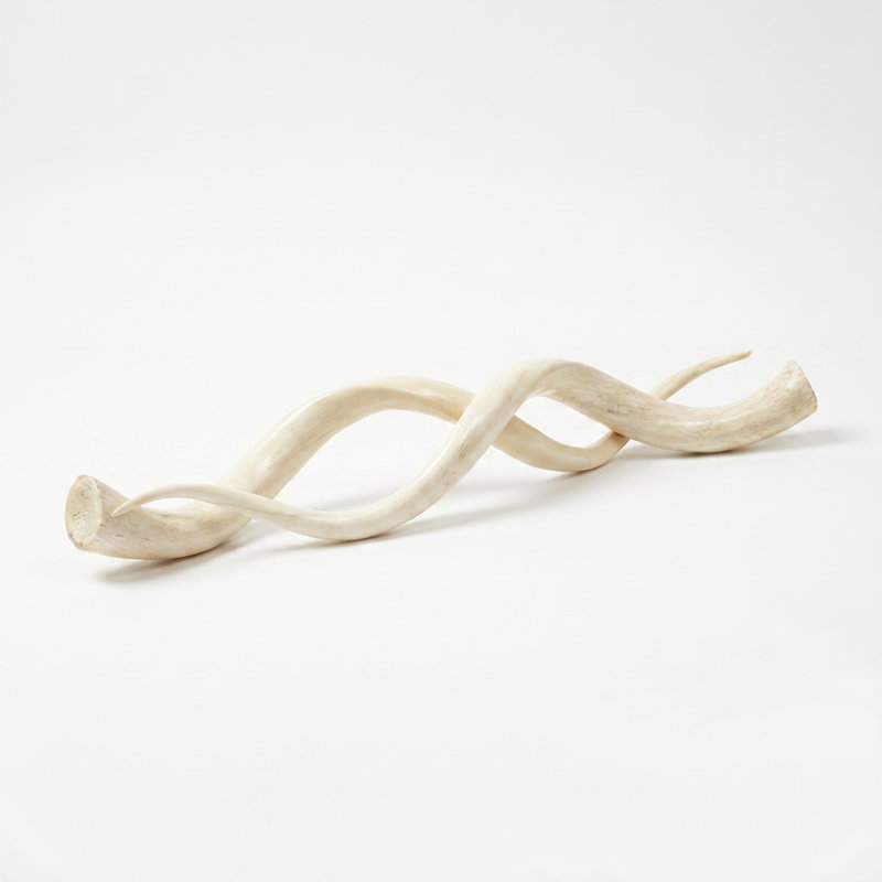 Polished White Kudu Horn Inner Pair, 22"