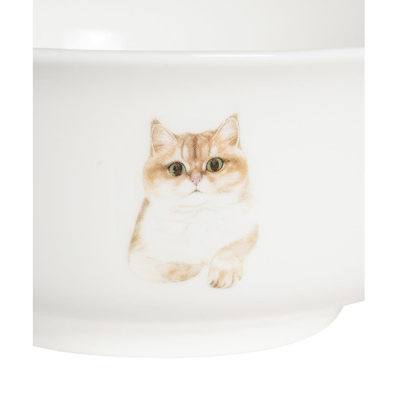 Bol en porcelaine - British Shorthair (doré)