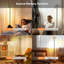 175.3cm LED Torchiere Floor Lamp