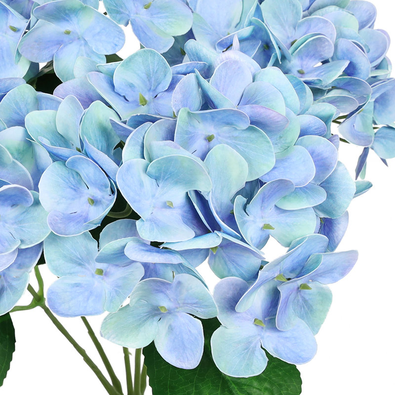 Buisson d'hortensias Real Touch, Bleu, pervenche