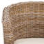 Iraan Rattan Barrel Chair-756271365