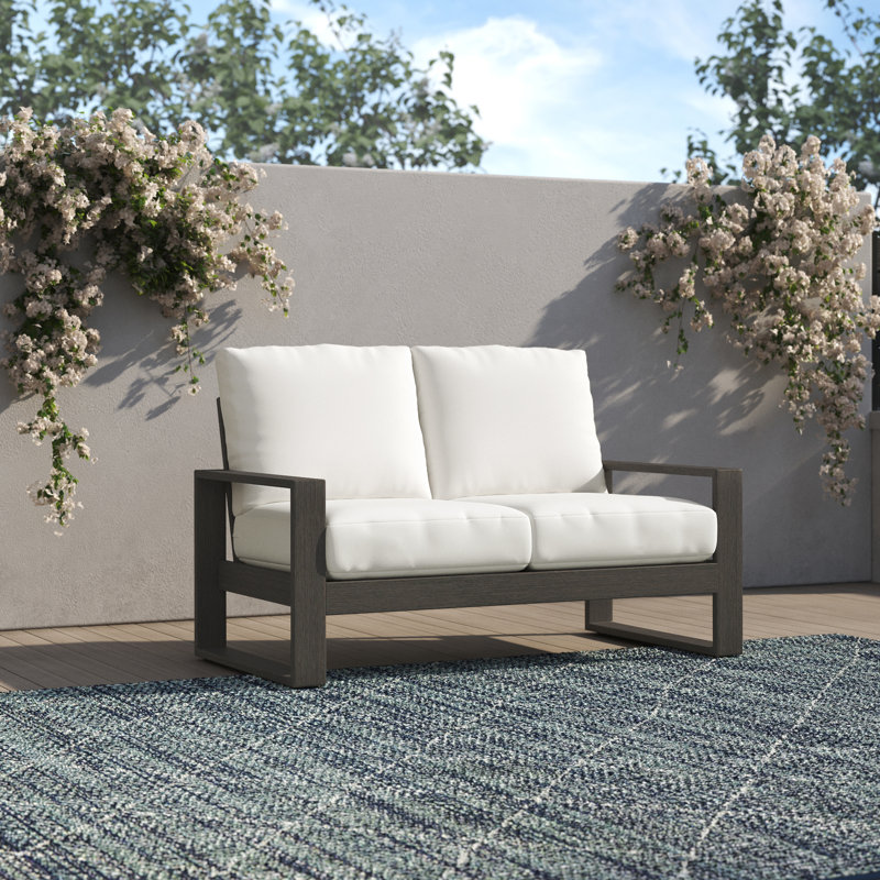 Toyea 55'' Wide Aluminum Loveseat with Cushions, Canvas Canvas Sunbrella® Canvas