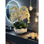 Orchid Floral Arrangement in Vase-832478504