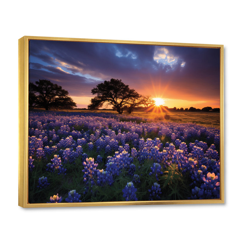 Sunrise Blue Bonnets Field III - impression, H 30 po x l 40 po x P 1,5 po, Cadre flottant doré
