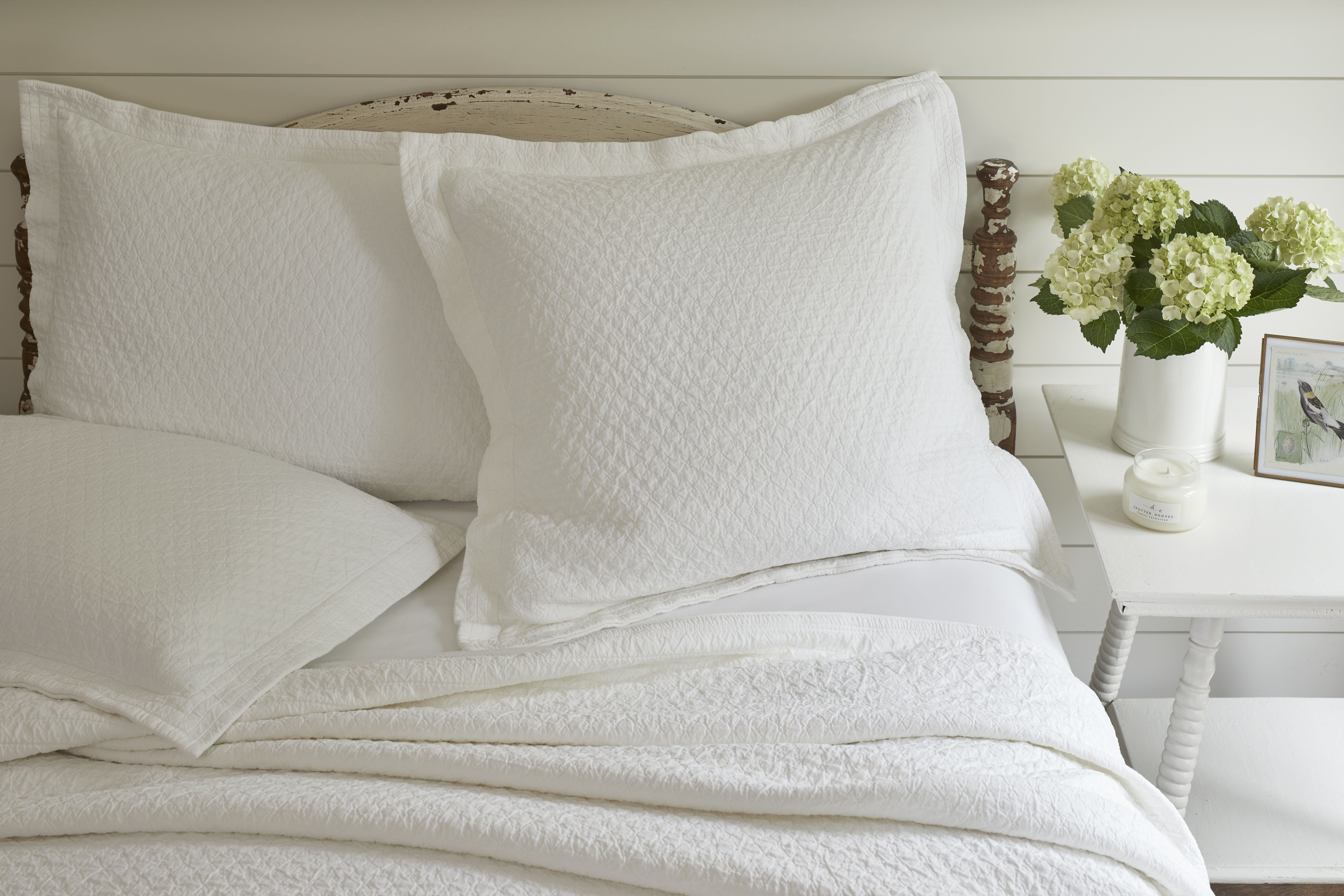 Taylor Linens Eleanor Bedding | Wayfair