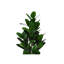 Plante artificielle