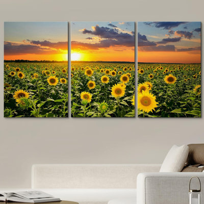 Champ de tournesols tournesols sur un fond de coucher de soleil - ensemble de 3 reproductions sur toiles tendues