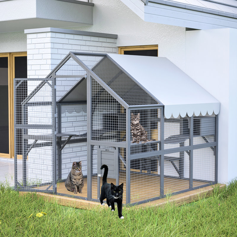 Spacieux extérieur avec construction en bois, 2 ponts suspendus, 5 allées de promenade, aires de repos, très grande aire de jeu pour chat, environnement confortable, accès facile pour les adultes