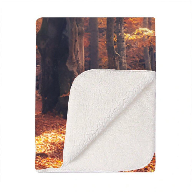 Brennon Plain Weave / Muslin Throw Blanket