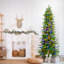 Arbre de pin Carmel-1854374963