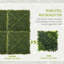 Outsunny Artificial Boxwood Wall Panels 12PCS 50cm x 50cm