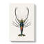 Crimson Crawfish Illustration by Charles D' Orbigny - Wrapped Canvas Painting-55371898