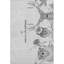 Tapis Cerrito-102343010