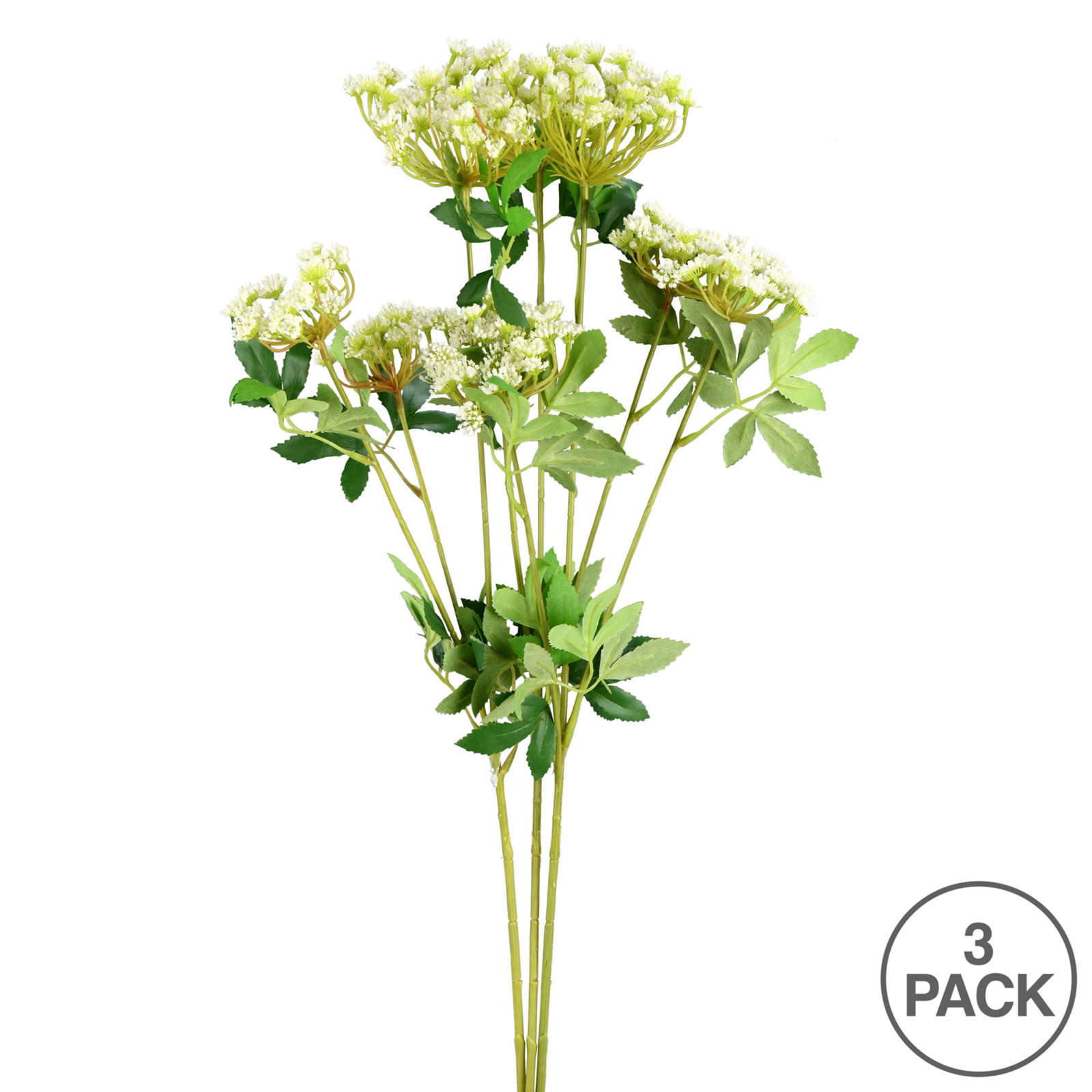 Baby's Breath Arrangement