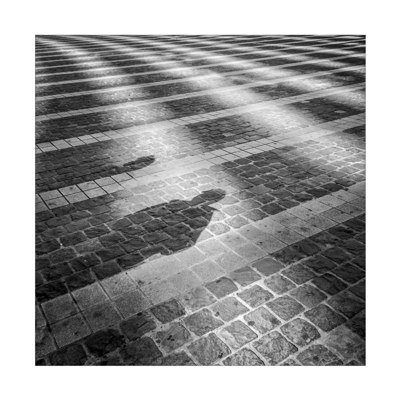 Art sur toile Hilde Ghésquiere Shadows, H 14 po x l 14 po