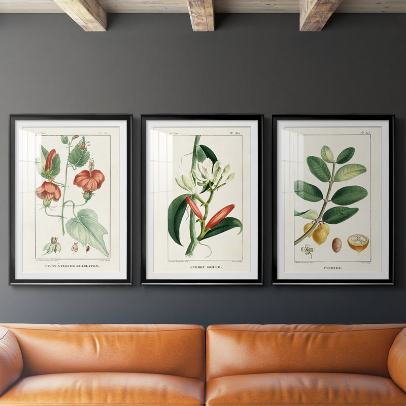 Turpin Tropical Botanicals IV - reproduction sur mesure encadrée de qualité supérieure - 3 pièces, H 21 po x l 30 po, Noir