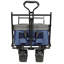 Collapsible Foldable Wagon With Canopy