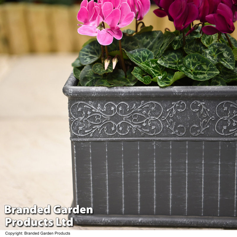 Annaleece Planter Box