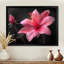 Rose, gris, élégant, simplicité, fuchsia - Fuschia, art mural-792179198-792179179