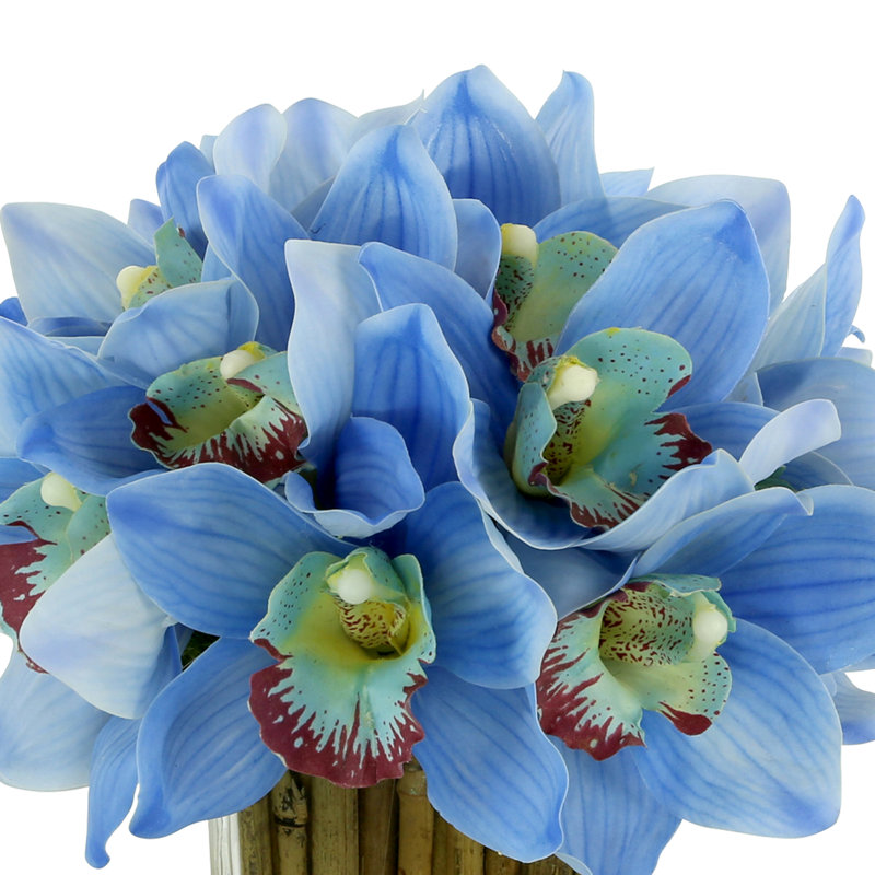Orchids Arranged in Bamboo-Filled Glass Vase, Blue