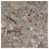 Fossil Gray