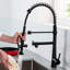 Robinet de cuisine noir mat - Commercial robuste avec ressort rétractable et robinet à pré-rinçage à poignée simple nécessitant peu d'entretien