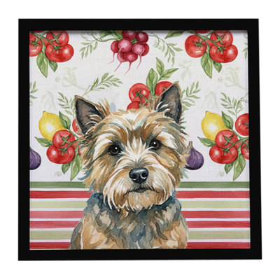 Cairn Terrier légumes, impression sur métal encadrée