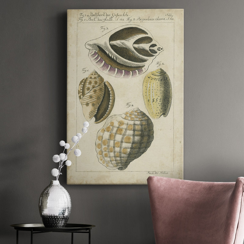 Étude de coquillage rétro I - peinture sur toile tendue, H 12 po x l 8 po x P 1 po