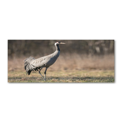 Heron - Wrapped Canvas Print