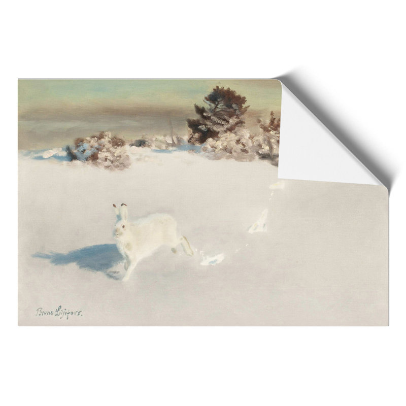 White Hare Vol.5 by Bruno Liljefors - No Frame Painting, 42cm H x 59cm W x 0.1cm D