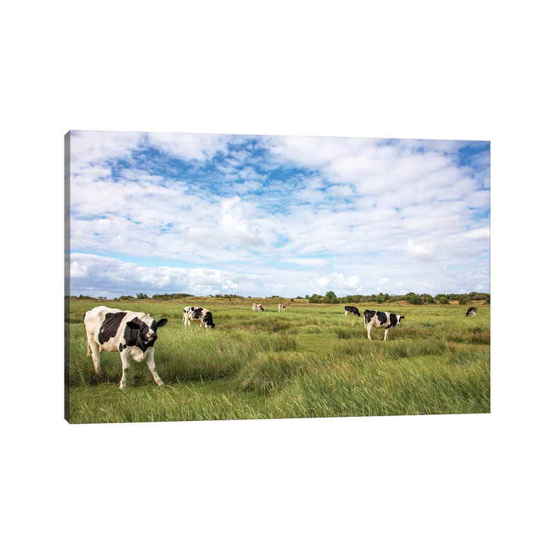 Cows In The Field by Clara Bastian - Wrapped Canvas Print, 20.32 cm H x 30.48 cm W