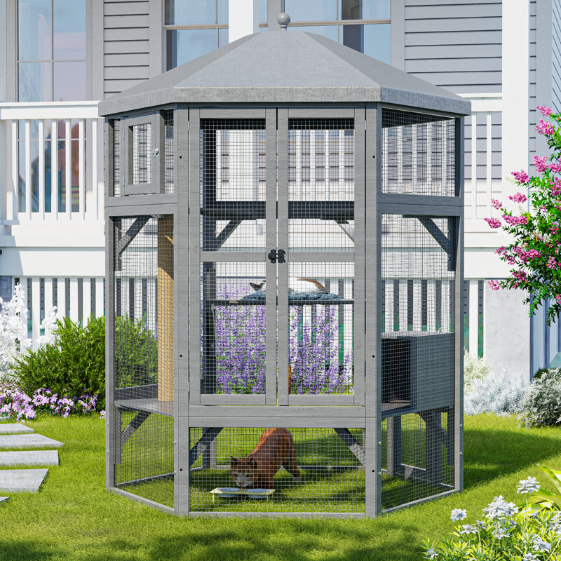 Enceinte de chat intérieure en bois Catio, enceinte intérieure Catio avec fenêtre d'accès, Gris