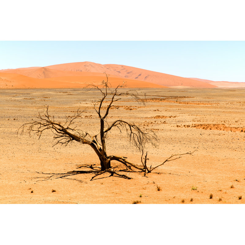 Dunes de sable et arbre flétri par Bim, H 20 po x l 30 po