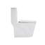 Toilette une pièce en céramique pour salle de bain, 12 po, 1,24 / 1,6 GPF, double chasse avec siège à fermeture douce, puissant double chasse CARTE 800 g