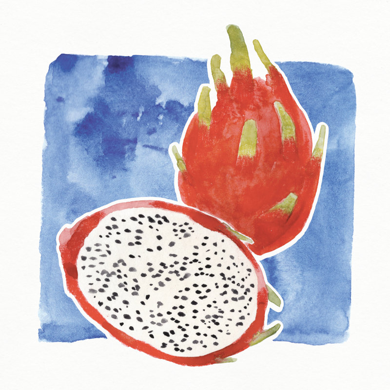 Dragon Fruit - Wrapped Canvas Art Prints, 51cm H x 51cm W