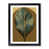 Black Framed selected