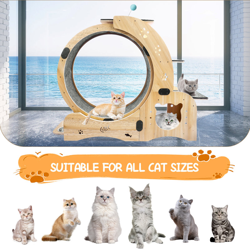 48.4'' H Edine Cat Tree