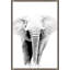Wild Calling 2 Print by Thom Filicia