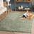 Ninette Shag Performance Geometric Rug-433549526