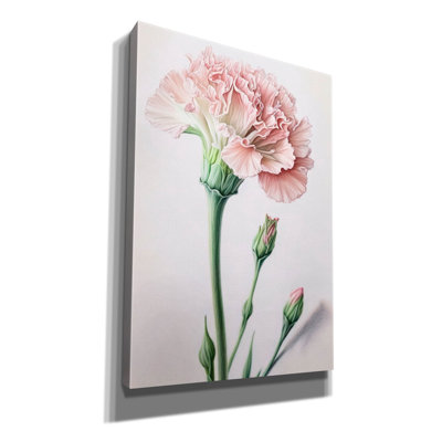 «Powder Pink Carnations» par Design Fabrikken, art mural sur toile