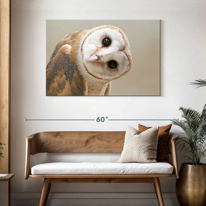 Hibou Brampt, H 30 po x l 45 po