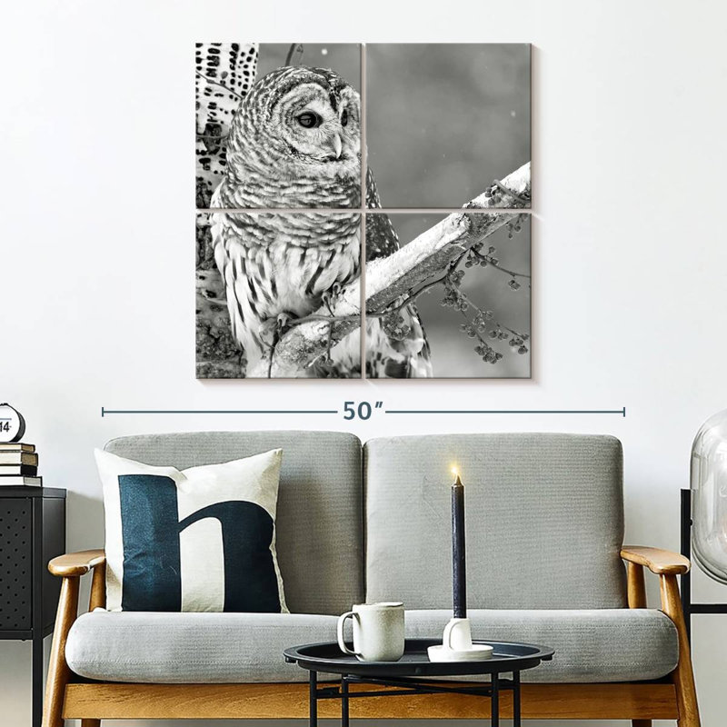Hibou blanc Brampt BW, H 32 po x l 32 po