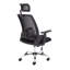 Mesh Office Chair with Headrest