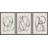 " Modern Duotone Geometric Spiral Ring Circle Collage 3 Piece Framed Wall Art. " 3 - Pieces-71199588-119018139