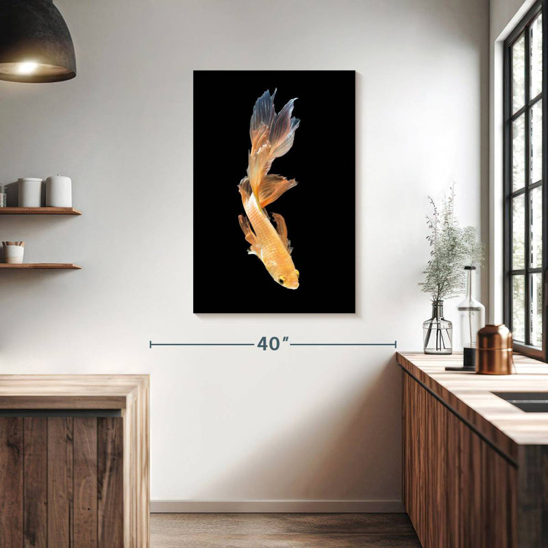 Brampt Betta Fish Dive, 39" H x 26" W