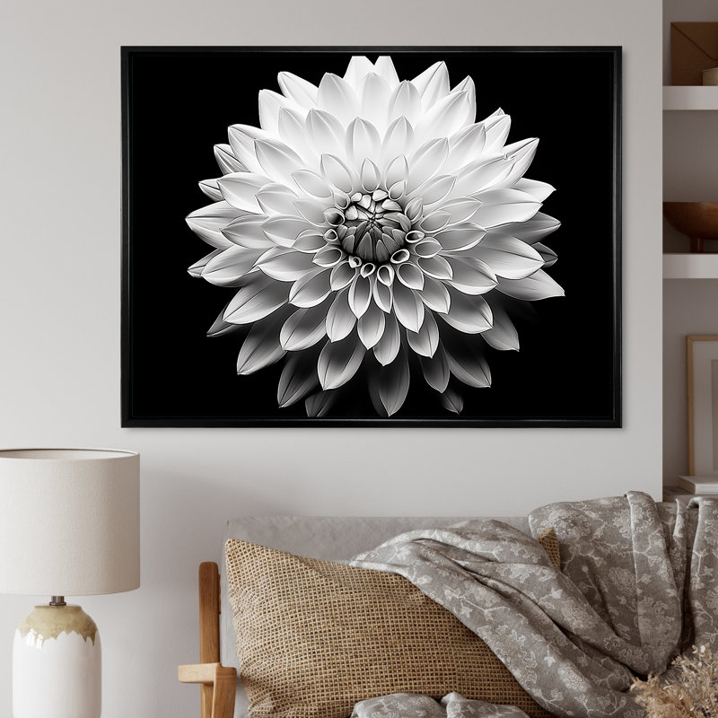 Dahlia en noir et blanc - impressions encadrées, L 40 po x H 30 po x P 1,5 po, Cadre flottant noir