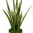 Crestwood 49" Artificial Snake Plant in Pot