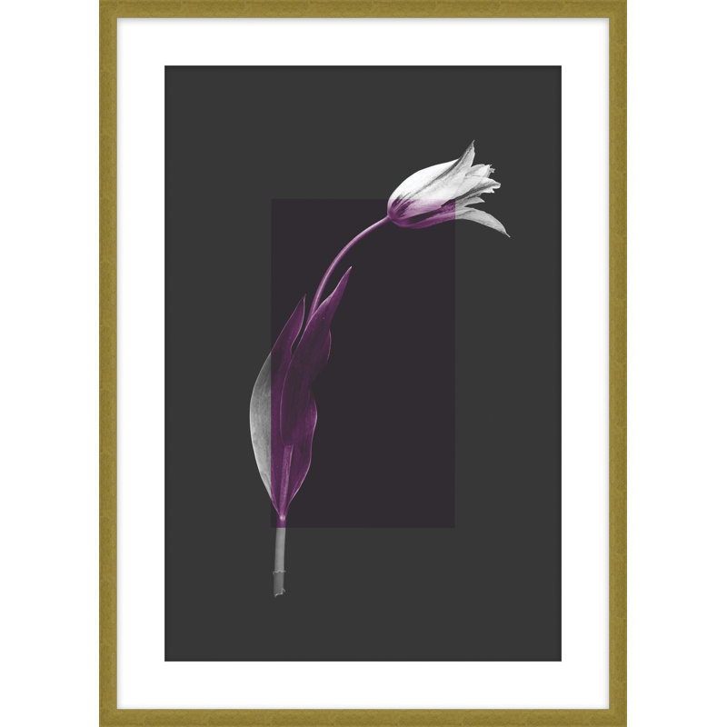 Color Burn Blossom 2 Print by Studio L57 Schemata, 22.25" H x 18.25" W